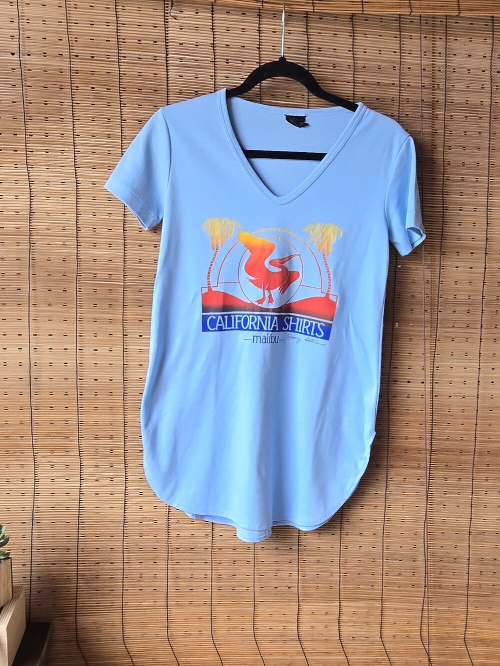 Vintage California Shirts Malibu Pelican Graphic Tee Blue V-Neck Top Size Medium